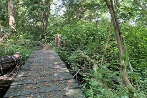 Wandelingen rond het gemaal Wandelingen rond het gemaal