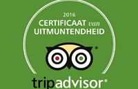 Tripadvisor certificate of excellence