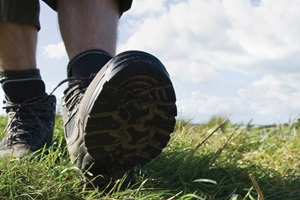 Wandelen Wandelen
